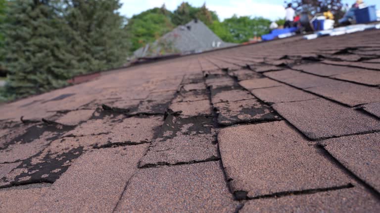 Best Roof Moss and Algae Removal  in Evansville, IN