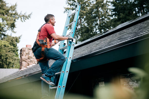 Best Solar Panel Roofing Installation  in Evansville, IN